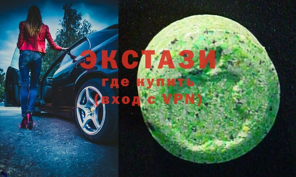гашик Алексин