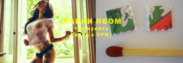 гашик Алексин