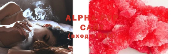 гашик Алексин