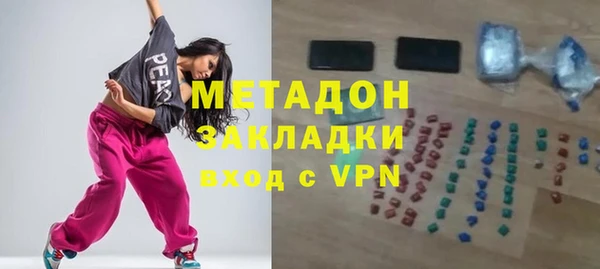 гашик Алексин