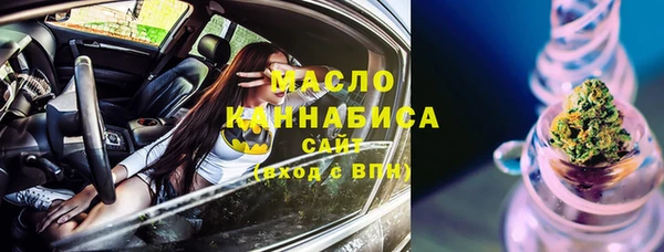 дурь Инта