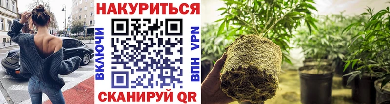 Конопля OG Kush  Каргат 